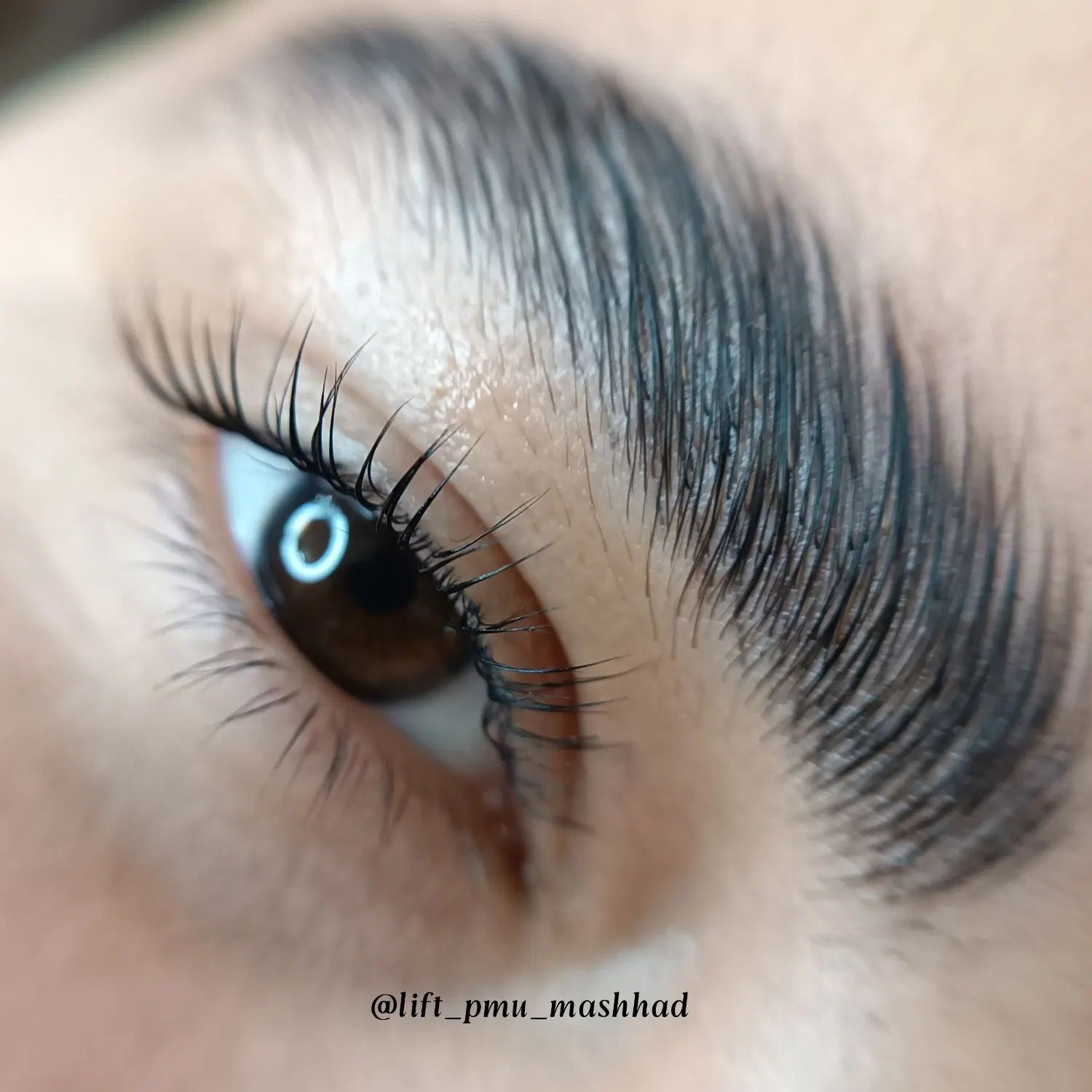 لیفت و لمینت مژه و ابرو ، بوتاکس تراپی|خدمات آرایشگری و زیبایی|مشهد, یاس|دیوار