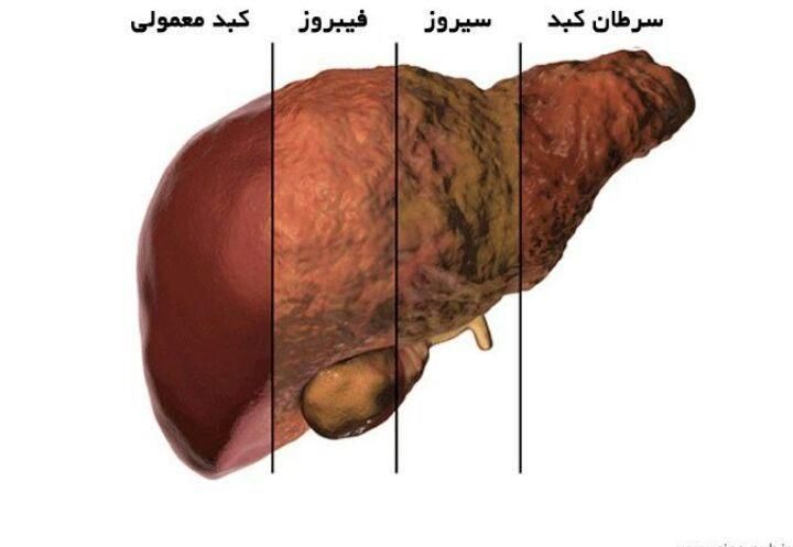 تشخیص و درمان بیماری ها|فعالیت داوطلبانه|مشهد, امام رضا (ع)|دیوار