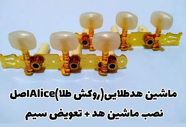گیتار شکسته و تعمیر نوسازی گیتار تابگیری دسته|گیتار، بیس، امپلیفایر|تالش, هشتپر|دیوار