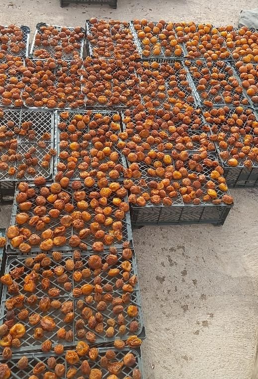 کاملا تمیز و بدونه مواد افزودنی کاملا ارگانیک|خوردنی و آشامیدنی|مشگین شهر, |دیوار