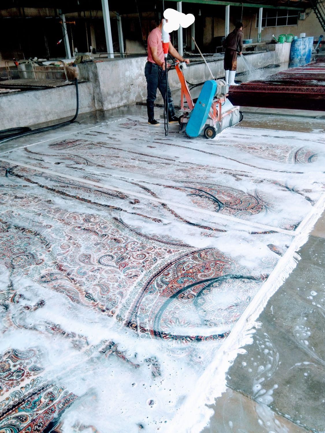 قالیشویی و مبل شویی         ((نعمت در پاکدشت))|خدمات نظافت|پاکدشت, پاکدشت (مامازند)|دیوار