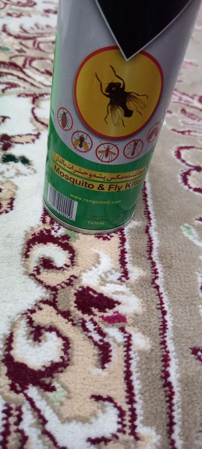 سم پاشی صدرصد تضمینی سوسک و ساس|خدمات نظافت|سمنان, |دیوار