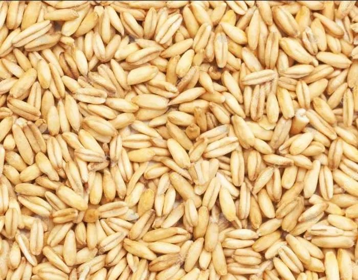 جو روسی 250تن|خوردنی و آشامیدنی|تهران, افسریه شمالی|دیوار