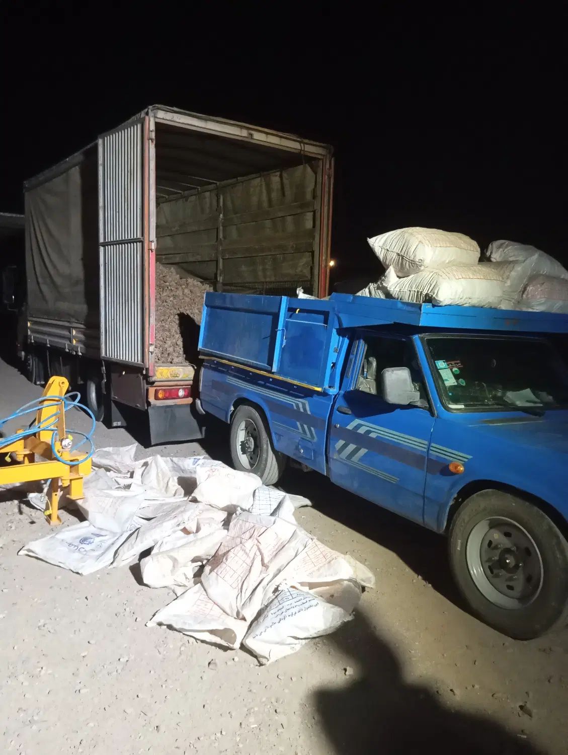 پیاز زعفران ۵۰ مخصوص خطا کاری|خدمات باغبانی و درختکاری|تربت‌حیدریه, حیدرآباد|دیوار