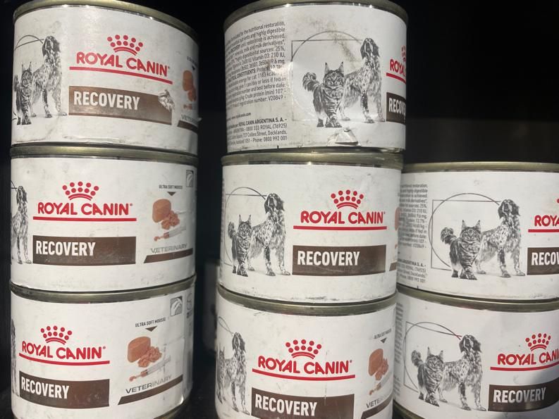 کنسرو ریکاوری رویال کنین(اصل) Royal canin recovery|لوازم جانبی حیوانات|تهران, سهروردی|دیوار