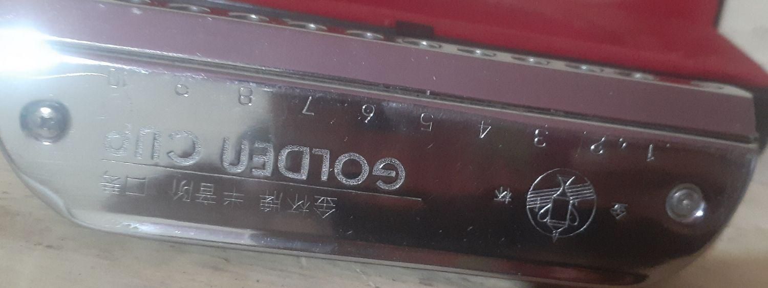 ساز دهنی گلدن کاپ فوق|سازهای بادی|پاکدشت, پاکدشت (مامازند)|دیوار