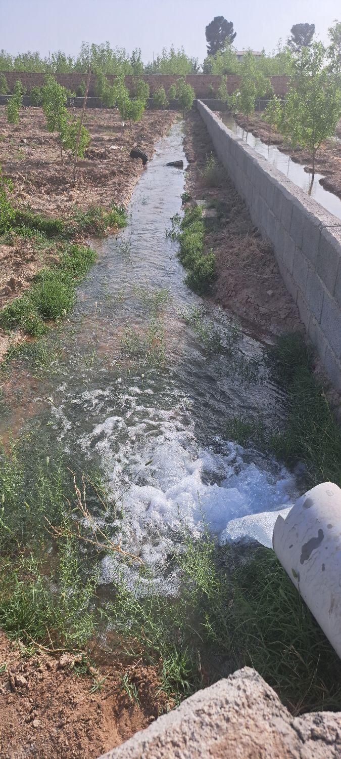 تصویر 2