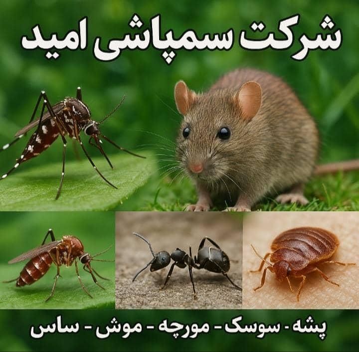 سمپاشی صددرصد تضمینی سم پاشی سوسک و ساس و ...|خدمات نظافت|تهران, تهرانپارس غربی|دیوار