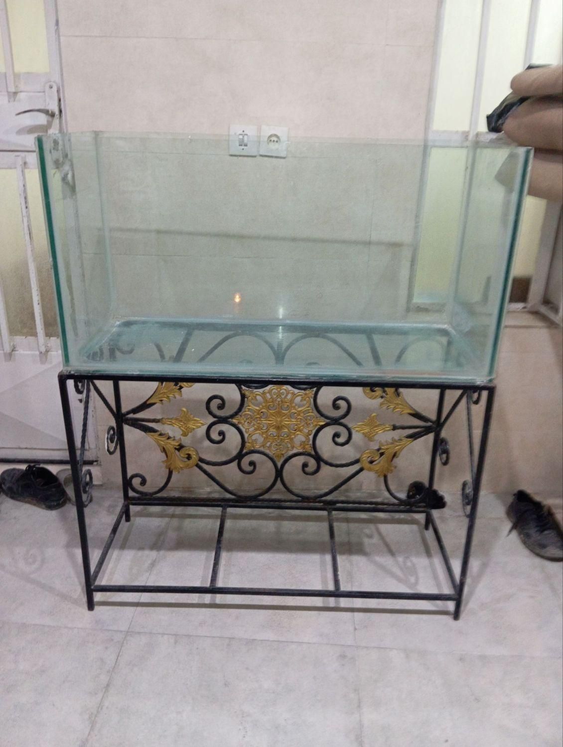 اکواریوم|ماهی|اهواز, کوی رمضان|دیوار