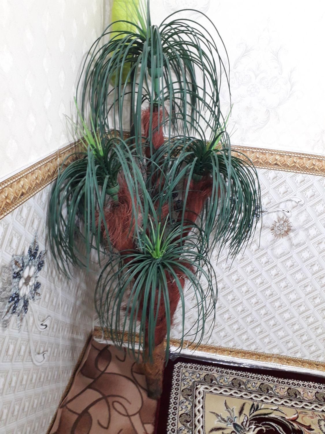 دکوری نخل|گل مصنوعی|نسیمشهر, |دیوار