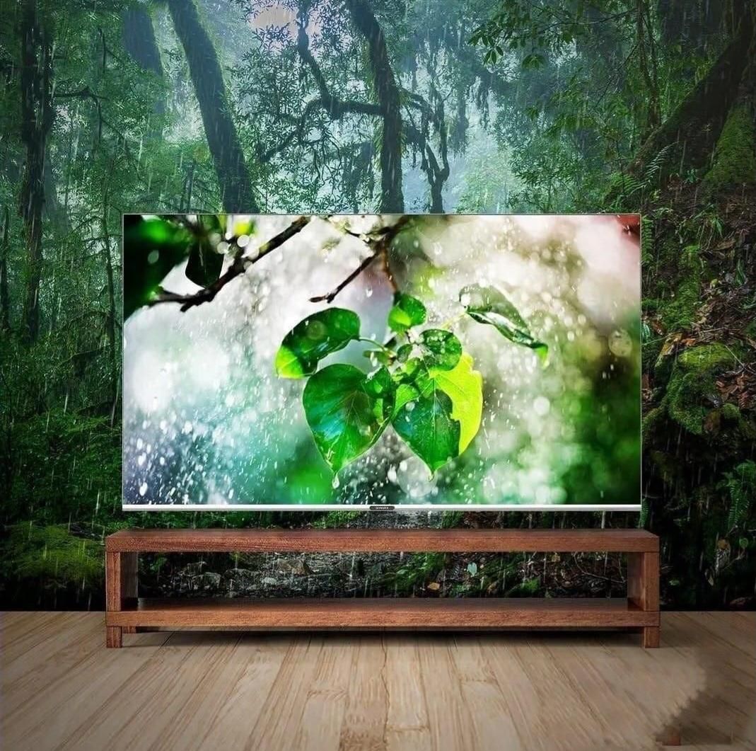 تلویوزیون نکسار|تلویزیون و پروژکتور|بوشهر, |دیوار