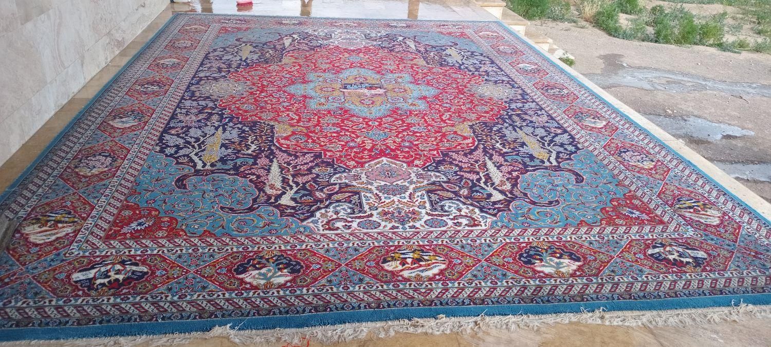 فرش سالم تمیز برا باغ ویلا اطاق کارگری|فرش|خمین, |دیوار