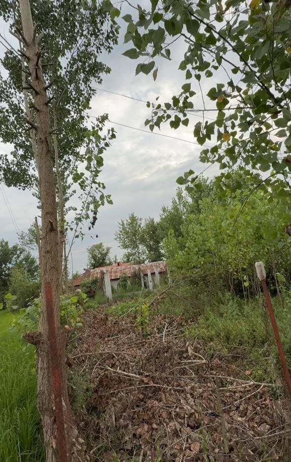 زمین۱۰۵۵متری بابنای نیمه کاره سنددار درگوکه|فروش زمین و ملک کلنگی|لاهیجان, لیل|دیوار