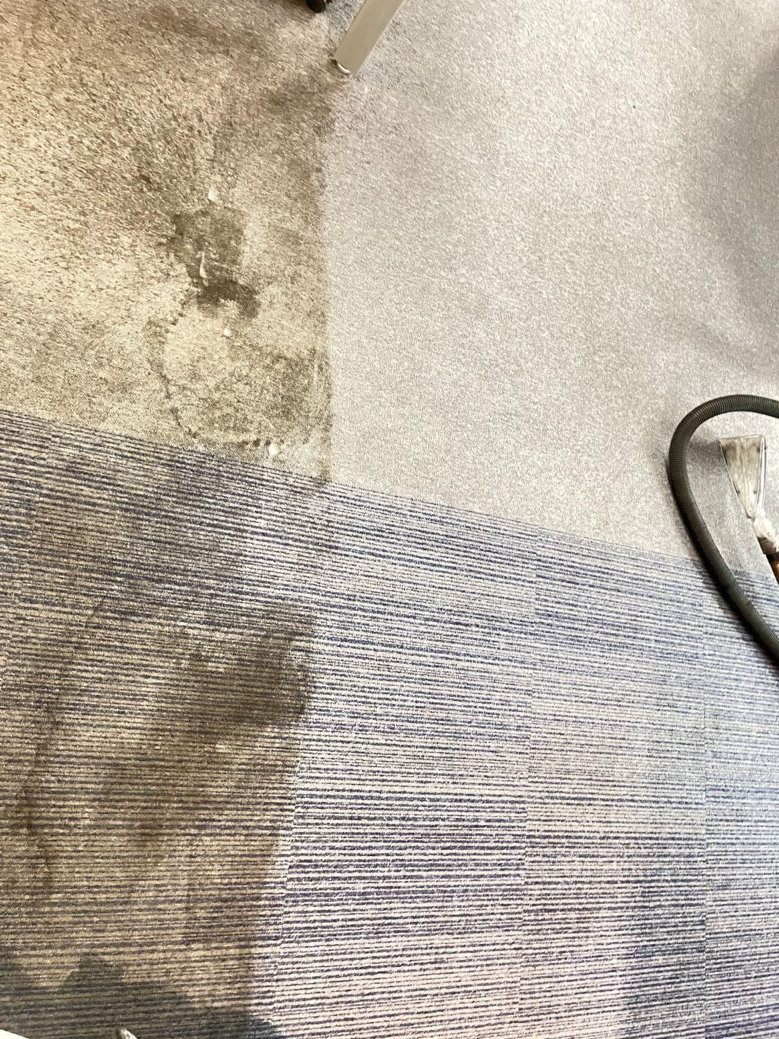 موکت شویی شستشوی مبل شویی در منزل تاتامی کف سرامیک|خدمات نظافت|تهران, ونک|دیوار