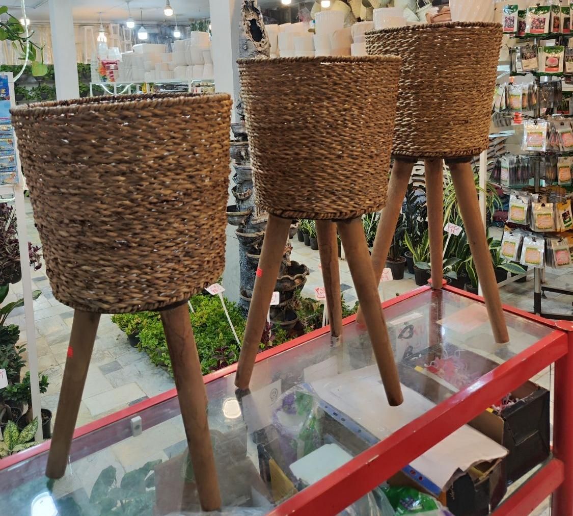 استند پایه گلدان دور حصیری سه تایی شفلرا آگلونما|گل و گیاه طبیعی|قم, نیروگاه|دیوار