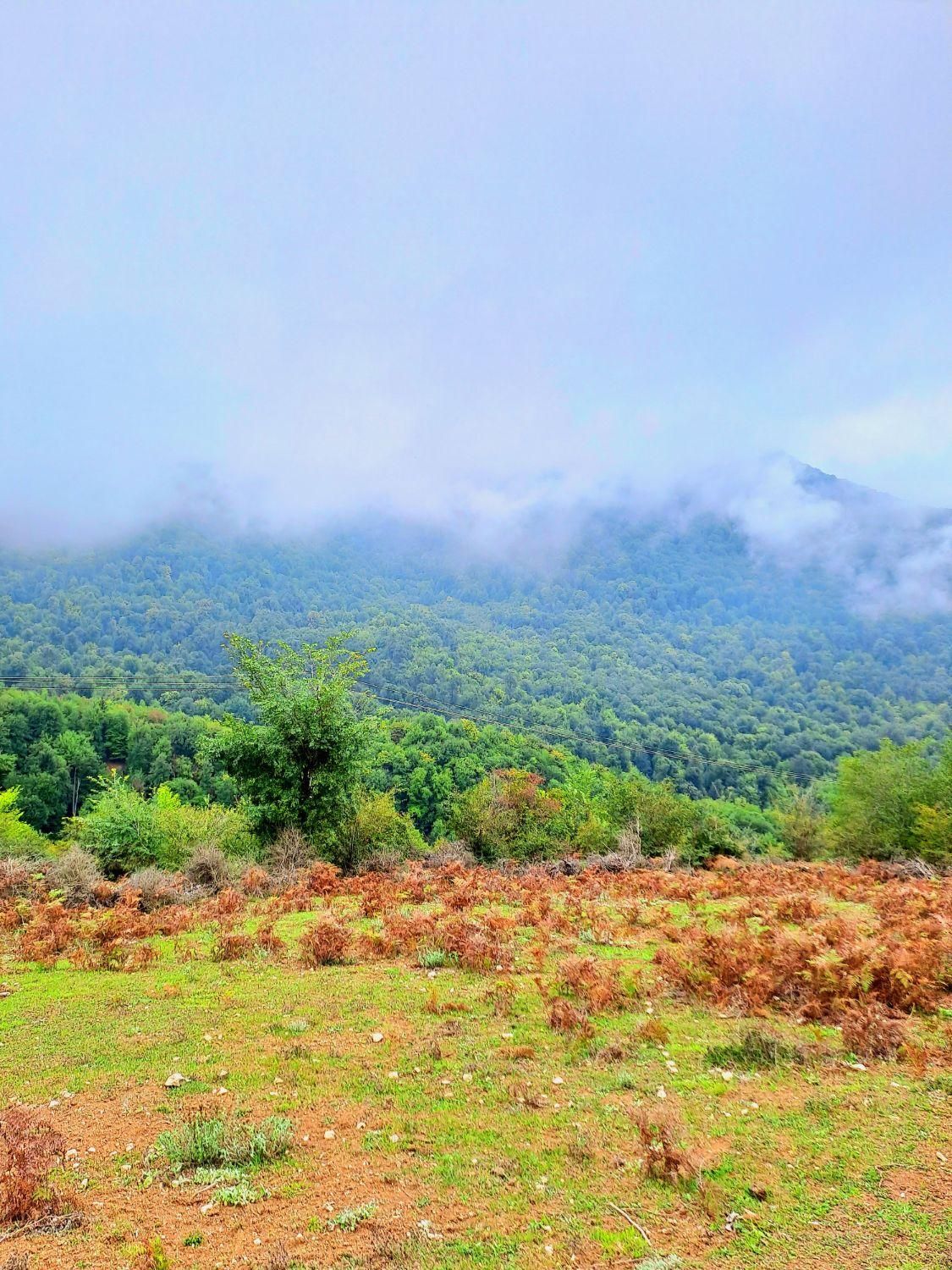 ۴۰۰ متر زمین، دهکده ی توریستی کُلیَک|فروش زمین و ملک کلنگی|کجور, |دیوار