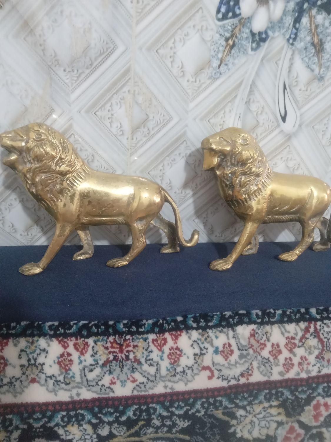 شیر برنجی دکوری جفت|مجسمه، تندیس، ماکت|نسیم‌شهر, |دیوار