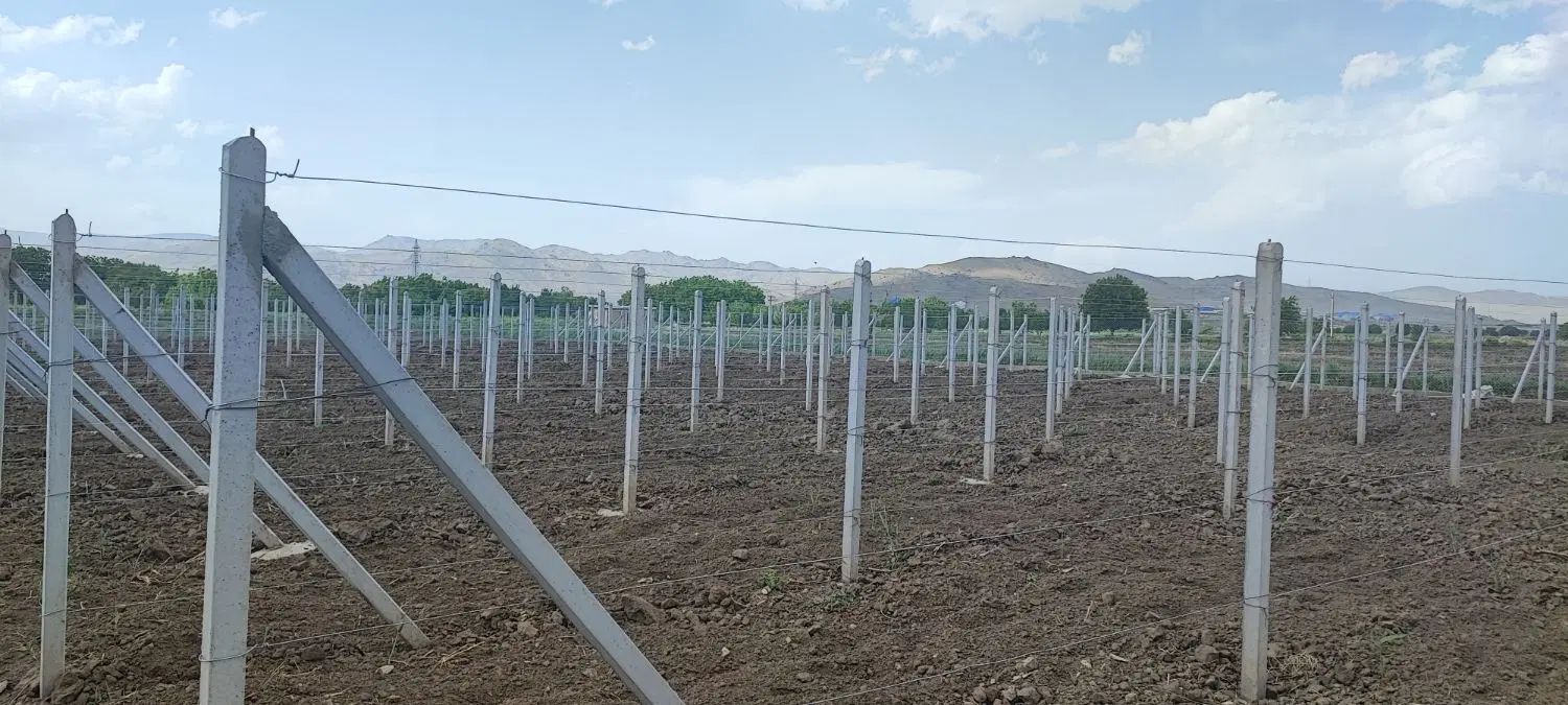 ///خدمات فنس کشی باغبانی دیوار کشی باغبانی|خدمات باغبانی و درختکاری|همدان, |دیوار