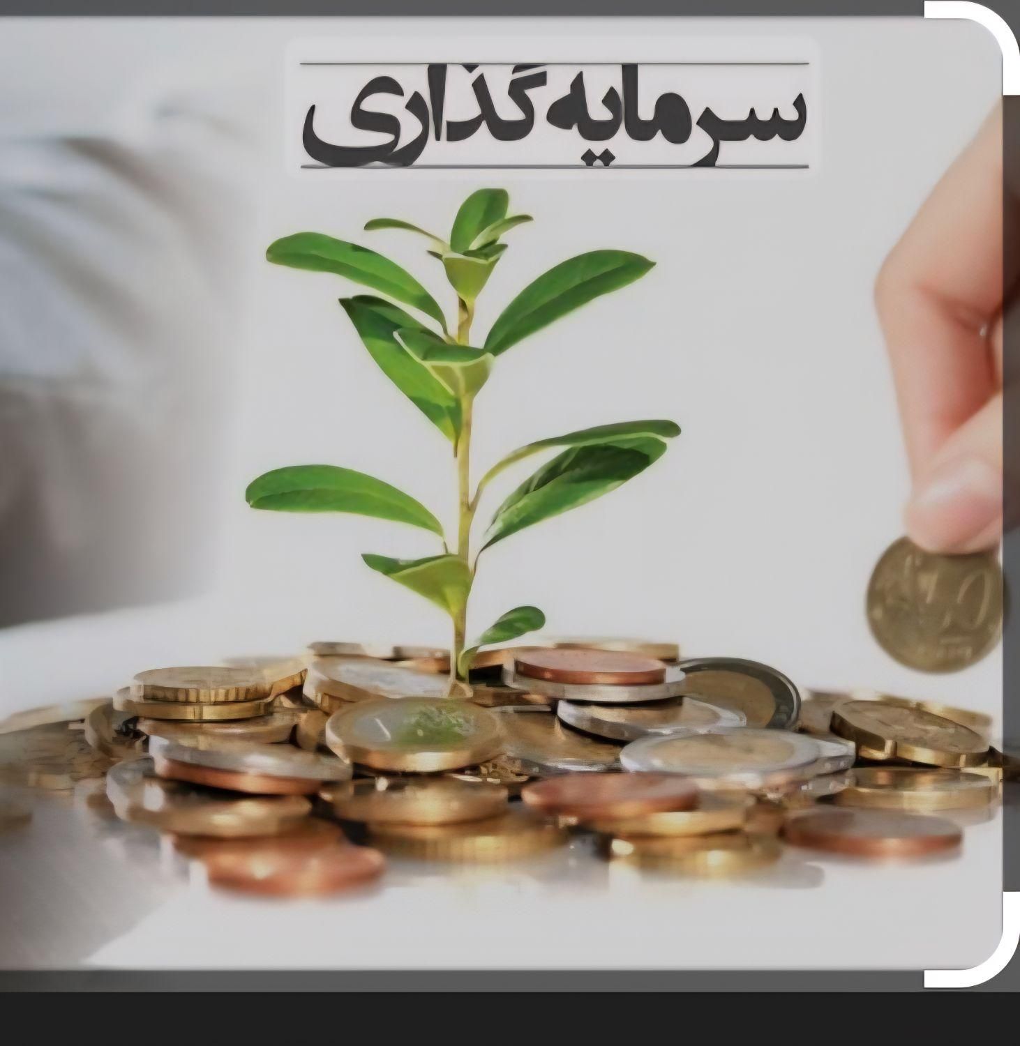 جذب سرمایه گذار|خدمات مالی، حسابداری، بیمه|تهران, اختیاریه|دیوار