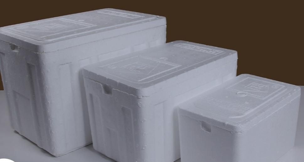 یخدان کلمن آکاستیو کول باکس|ظروف نگهدارنده، پلاستیکی، یکبارمصرف|مشهد, سعد آباد|دیوار