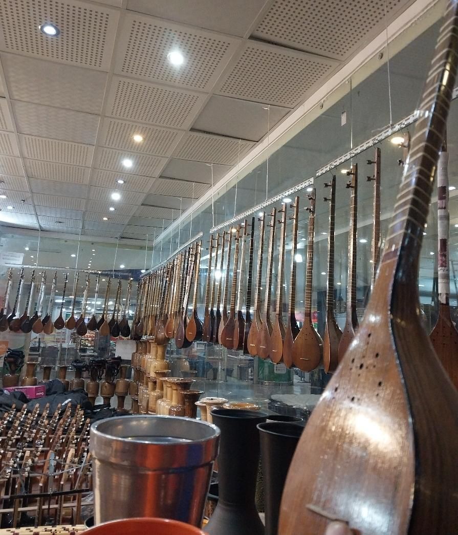 سه تار ذوالقدر ملکشاهی هاردکیس تار|سازهای سنتی|مشهد, سپاد|دیوار