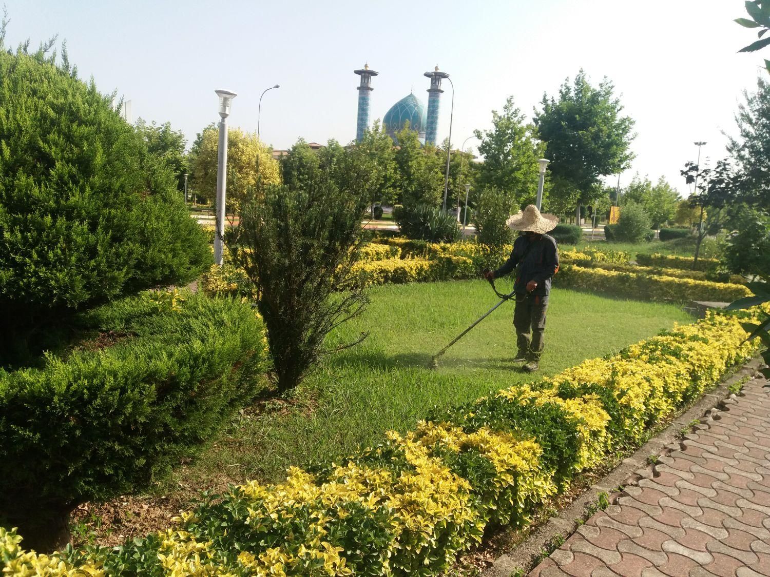 خدمات باغبانی|خدمات باغبانی و درختکاری|سنگر, |دیوار