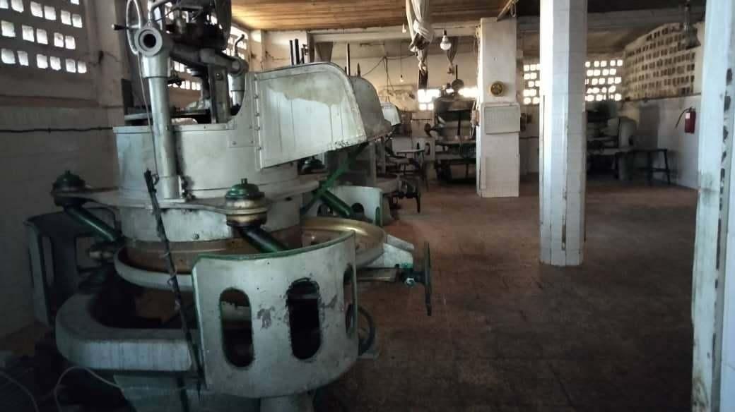لاهیجان - فروش کارخانه چای درحال کار و به روز|فروش دفتر صنعتی، کشاورزی، تجاری|لاهیجان, لیالستان|دیوار