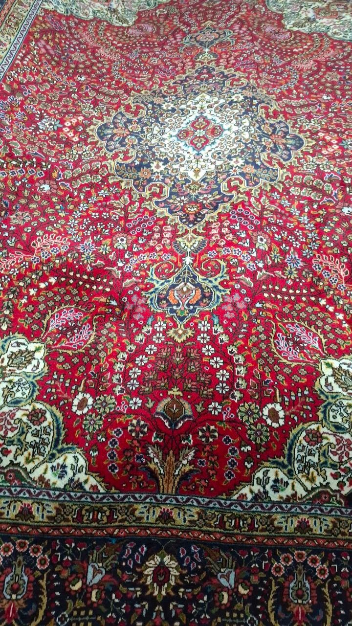 تک ۹متری کرمان قلم لاکی|فرش|مراغه, |دیوار