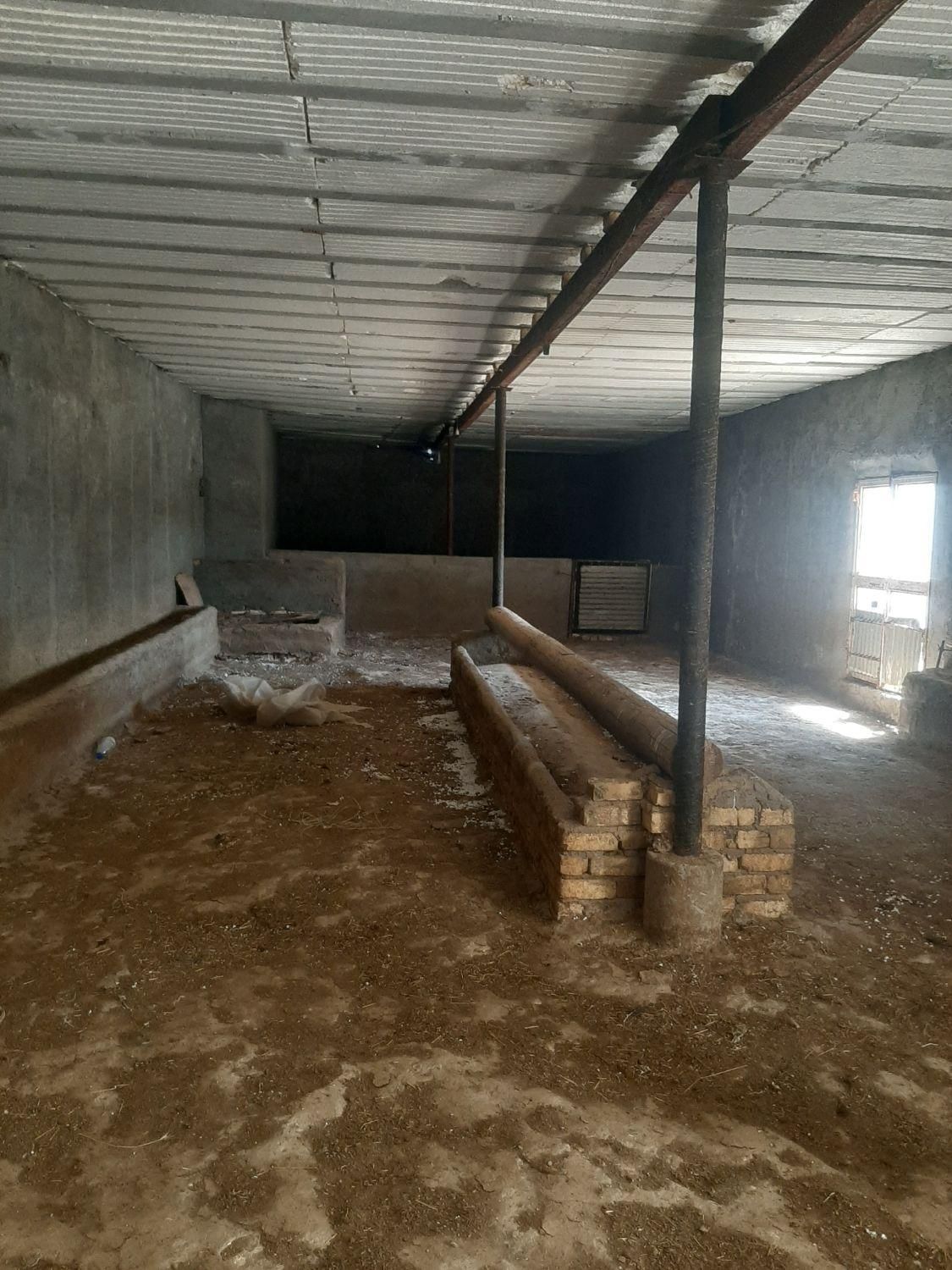 دامداری با پروانه سند تک برگ|فروش دفتر صنعتی، کشاورزی، تجاری|فرمهین, |دیوار