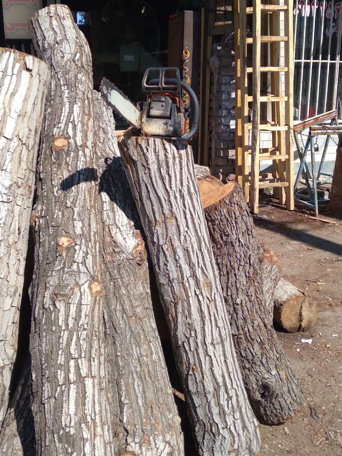 چوب ودرخت|خدمات باغبانی و درختکاری|ساوه, |دیوار