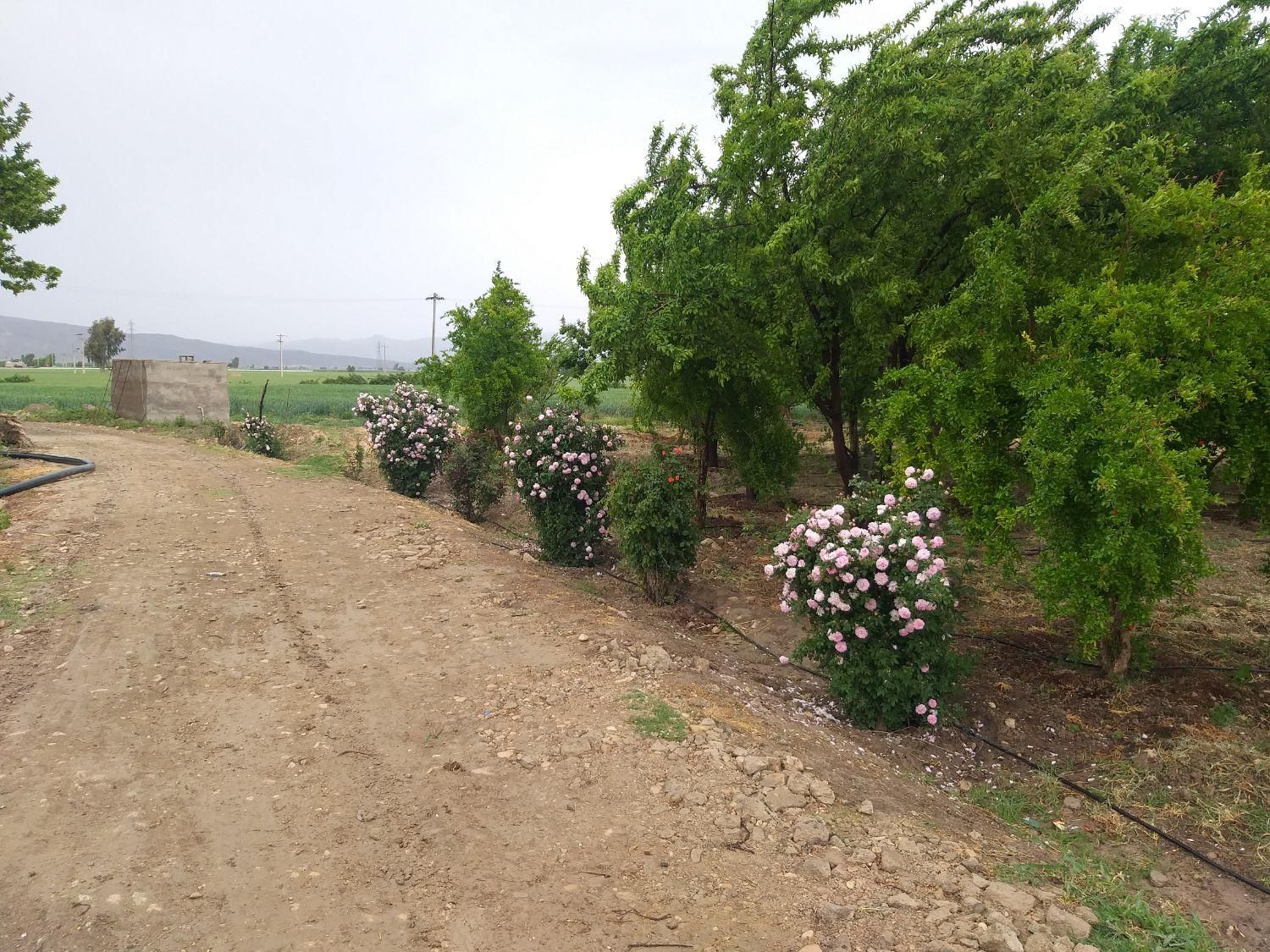 فروش ۱۰۰۰ متری فیروزاباد|فروش دفتر صنعتی، کشاورزی، تجاری|فیروزآباد (فارس), |دیوار