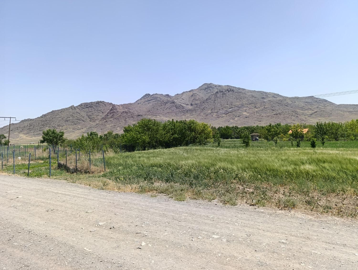 فروش باغ  ۷۵۰ متری در روستای خوش آب و هوا دیزیجان|فروش زمین و ملک کلنگی|قم, انسجام|دیوار