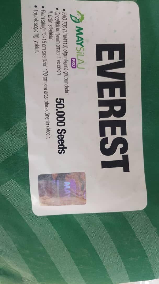 بذر زرت.به همراه بذر یونجه|خدمات باغبانی و درختکاری|سنندج, |دیوار