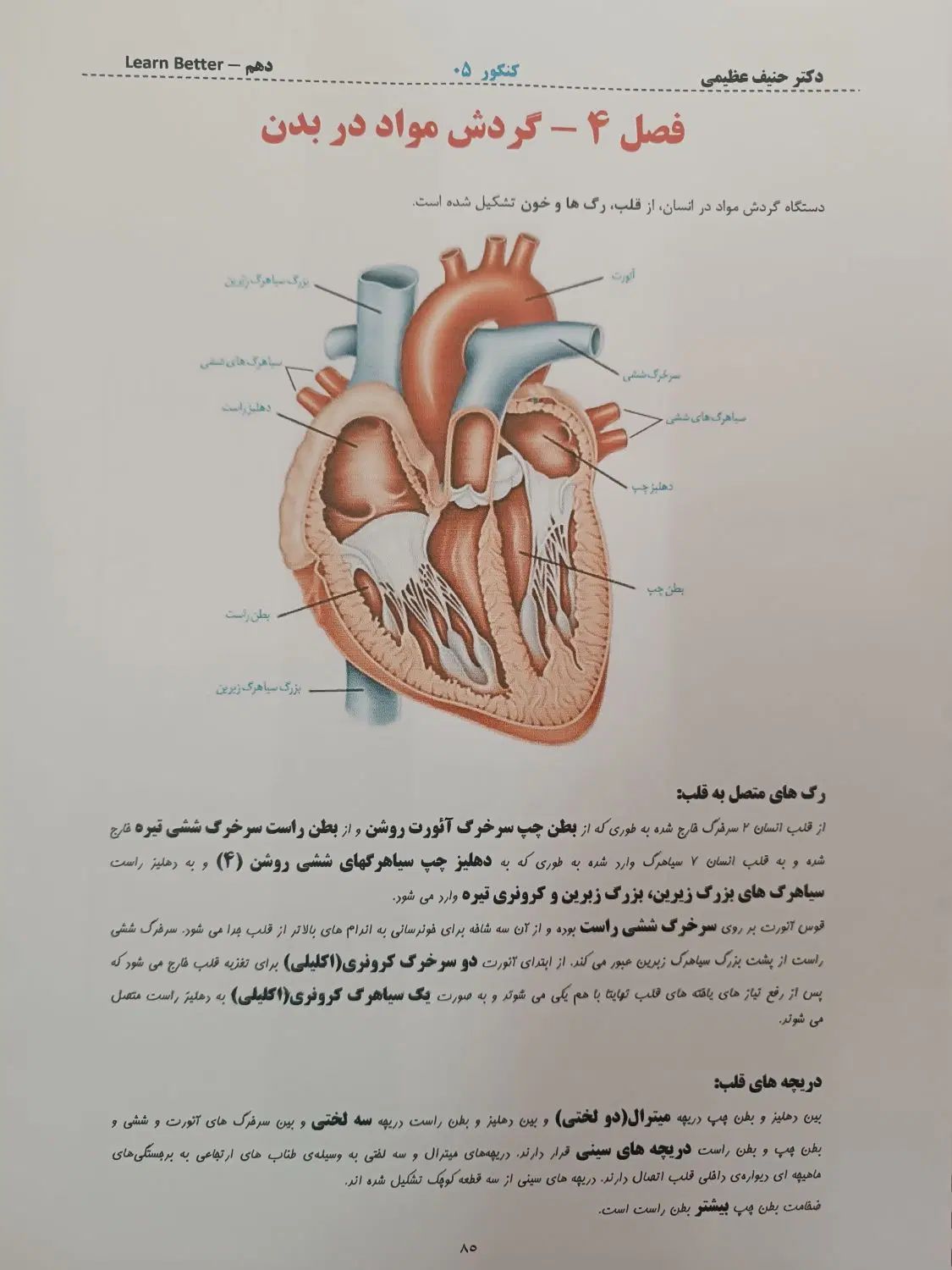 کتاب جزوه کنکور ۱۴۰۵ حنیف عظیمی تاملند رنگی سیاه|کتاب و مجله آموزشی|تهران, فلسطین (میدان انقلاب)|دیوار