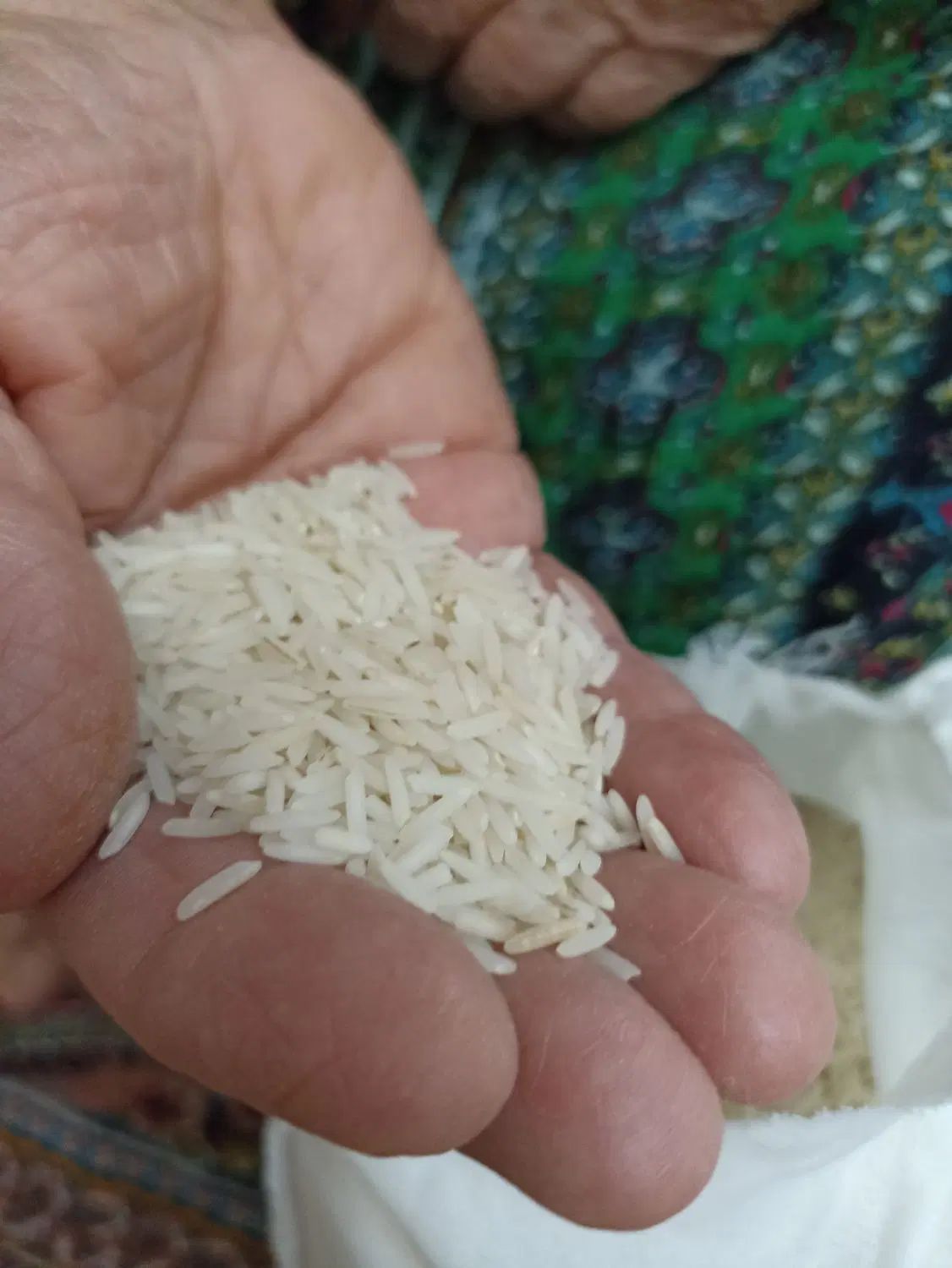 برنج آستانه اشرفیه دمسیاه مجلسی|خوردنی و آشامیدنی|تهران, هفده شهریور|دیوار