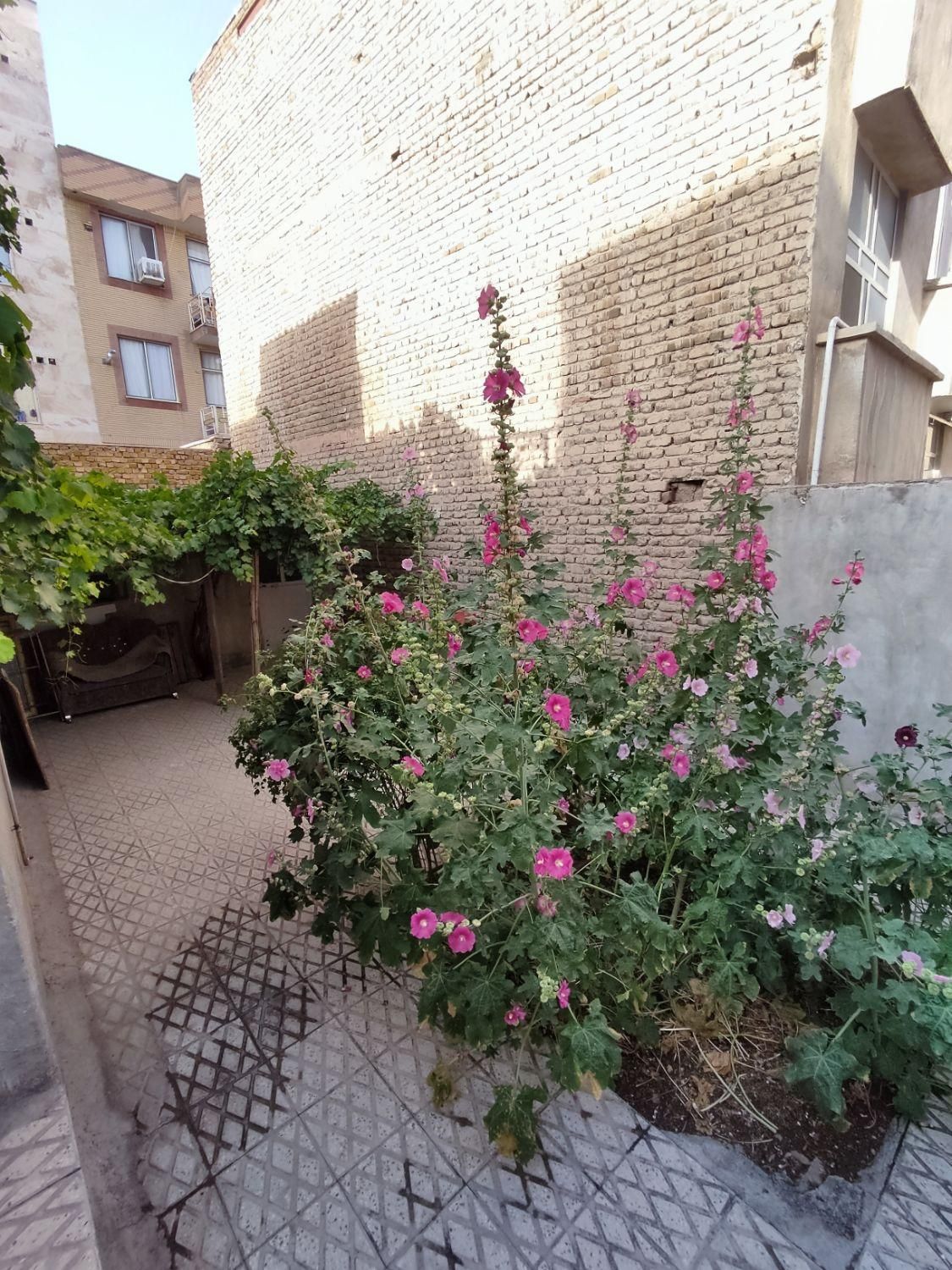 زمین 60 متری صدرصد بنا /کوروش/ مولوی|مشارکت در ساخت املاک|قزوین, |دیوار