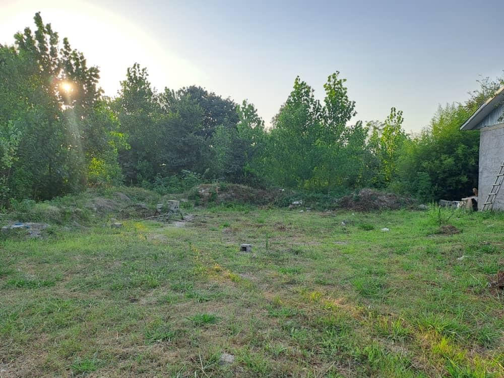 زمین 300 متری لاهیجان سند تک برگ پروانه ویلا|فروش زمین و ملک کلنگی|لاهیجان, آهندان|دیوار