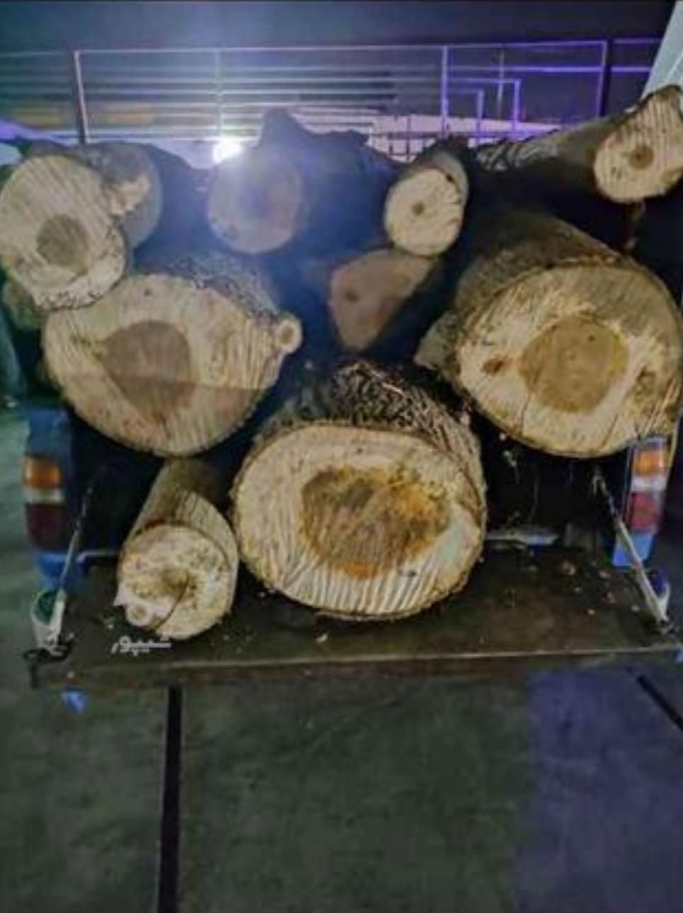 چوب آلات باغی شما را خریداریم|خدمات باغبانی و درختکاری|تنکابن, |دیوار