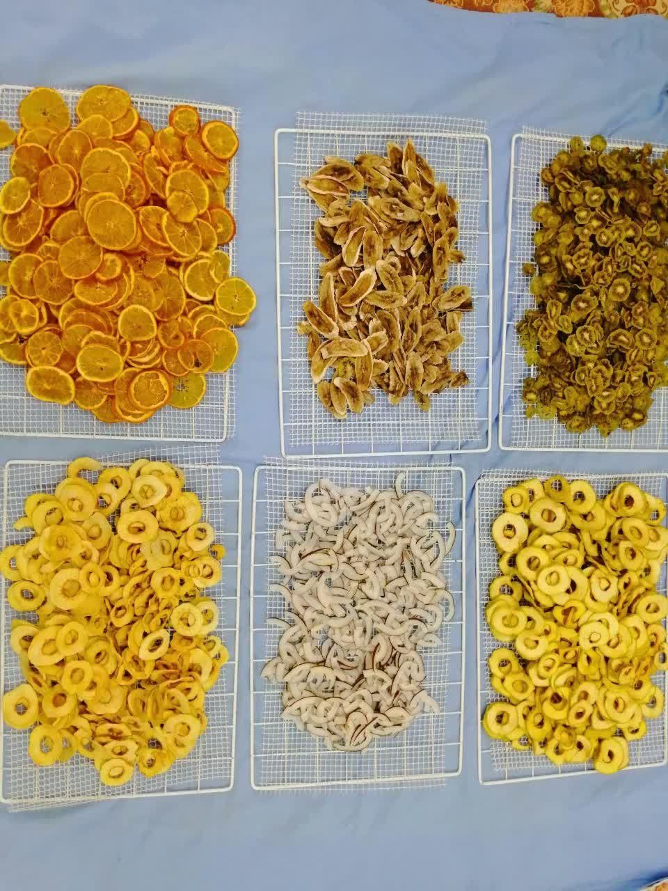 دستگاه میوه و سبزی خشک‌کن دیجیتال حرفه‌ای|سایر لوازم برقی|اهواز, شریعتی جنوبی|دیوار