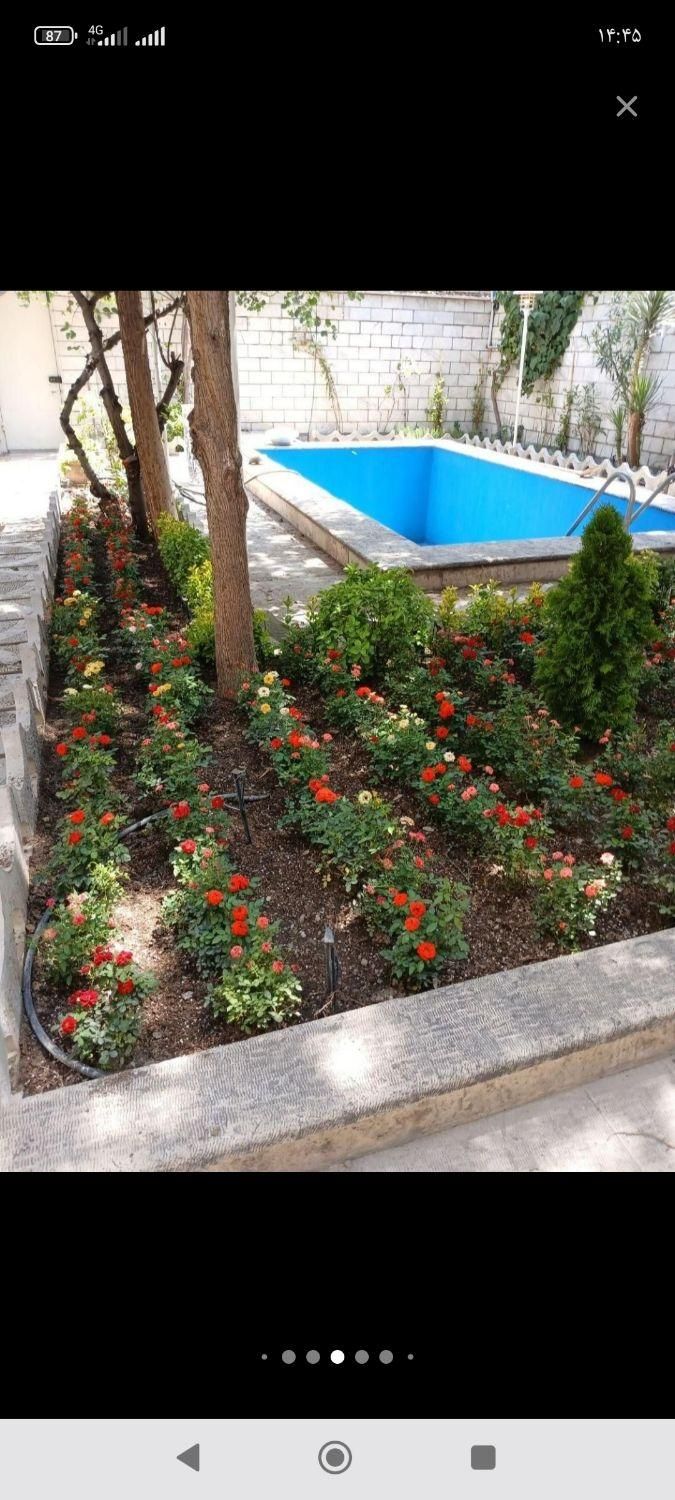 خدمات باغبانی در سراسر تهران گل باغچه و آپارتمانی|خدمات باغبانی و درختکاری|تهران, سیدخندان|دیوار