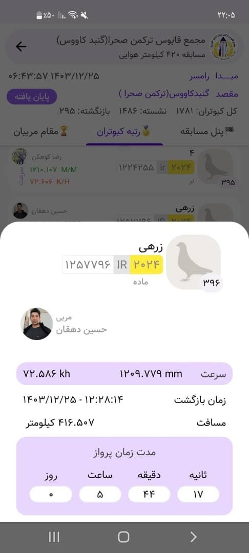 کبوتر کفتر ماده مسافتی پلاکی جی پی اس دار|پرنده|مشگین شهر, |دیوار