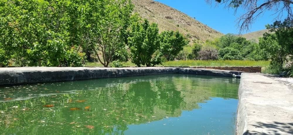 باغ ۱۲۰۰ متری در روستای نویس|فروش زمین و ملک کلنگی|قم, پردیسان|دیوار
