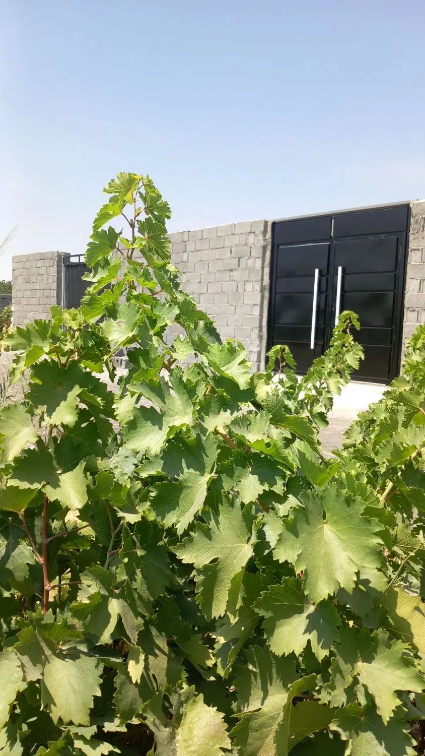 باغ و باغچه ۲۰۰مترچهاردیوار آب،برق انجم آباد(شخصی)|فروش زمین و ملک کلنگی|تهران, امیریه|دیوار