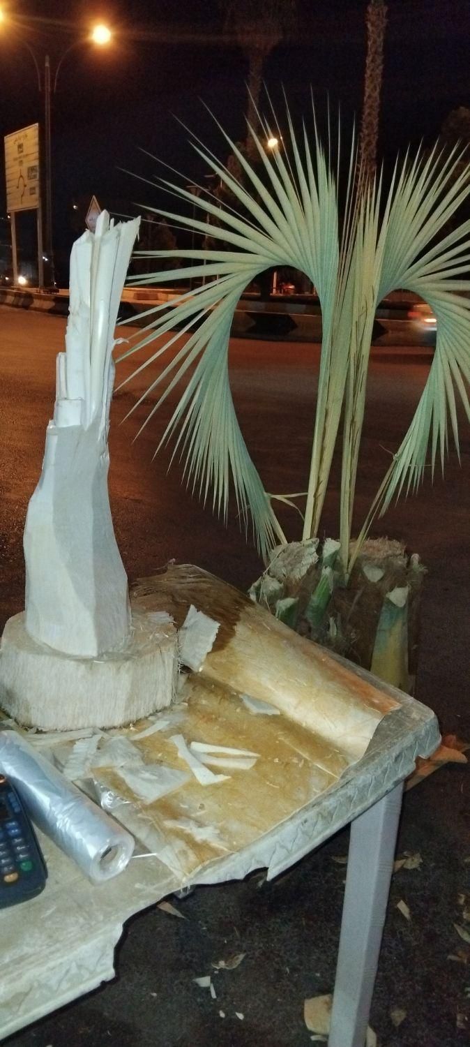 خریدوقطع نخل و درخت|خدمات باغبانی و درختکاری|جهرم, |دیوار