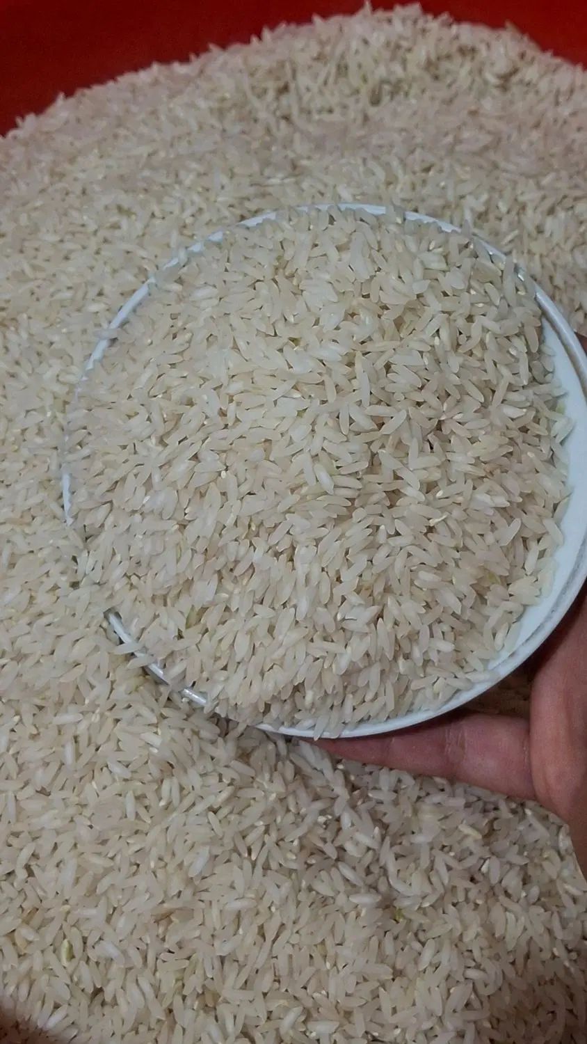 برنج درجه یک طارم هاشمی|خوردنی و آشامیدنی|تهران, طیب|دیوار