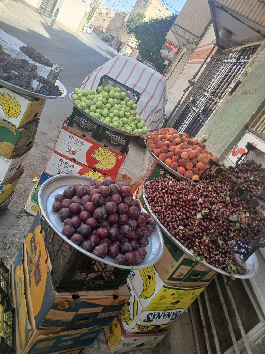 حراج انواع میوه هندوانه طالبی هلوگرمک آلبالو امروز|حراج|اصفهان, خانه اصفهان|دیوار