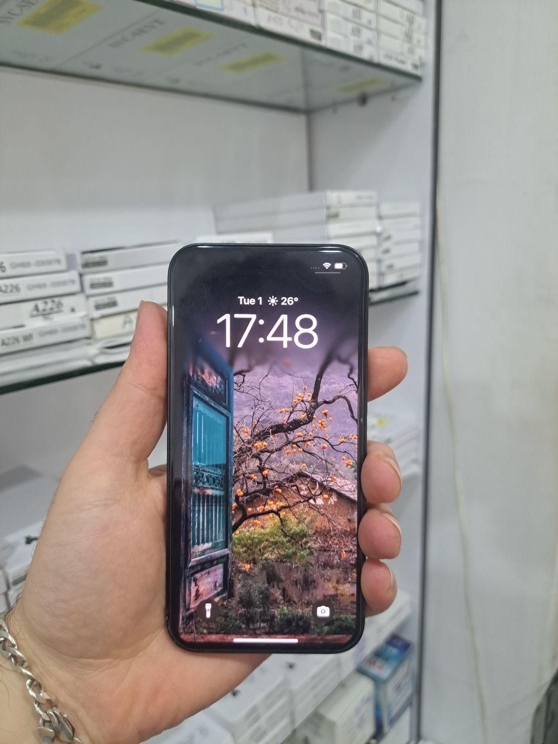اپل iphone 14 با حافظهٔ ۲۵۶ گیگابایت|موبایل|رشت, پیرسرا|دیوار