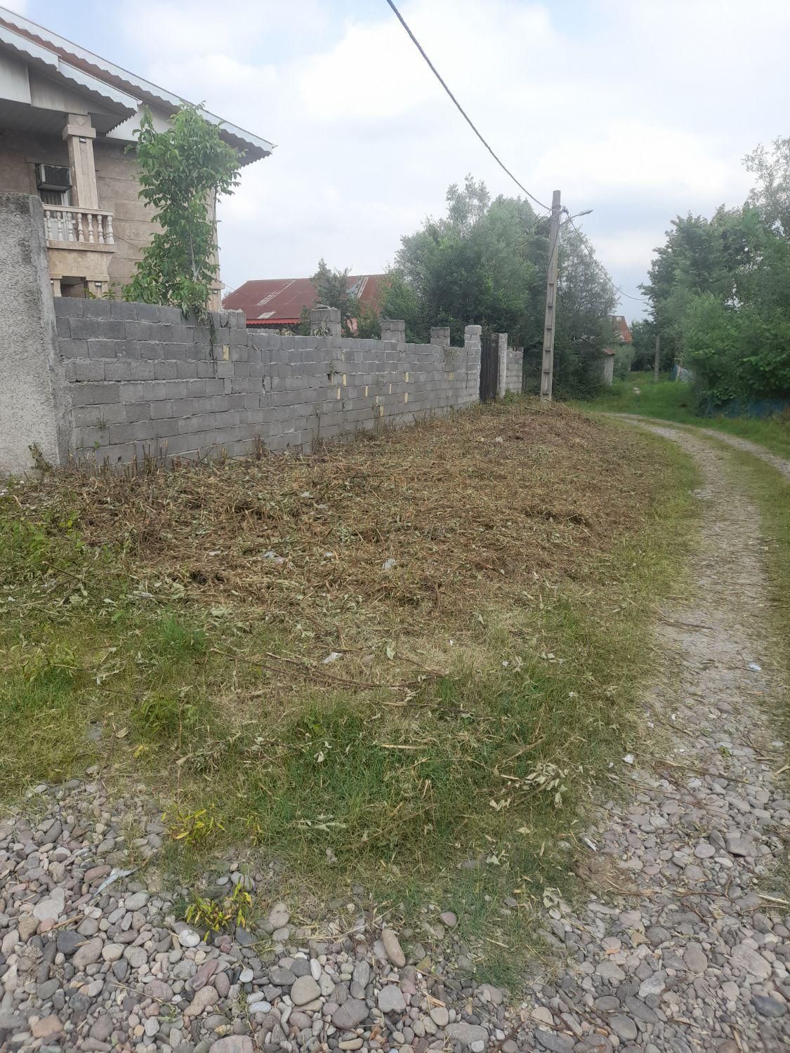 هرس کردن علف و باغ ملک ...|خدمات باغبانی و درختکاری|سنگر, |دیوار