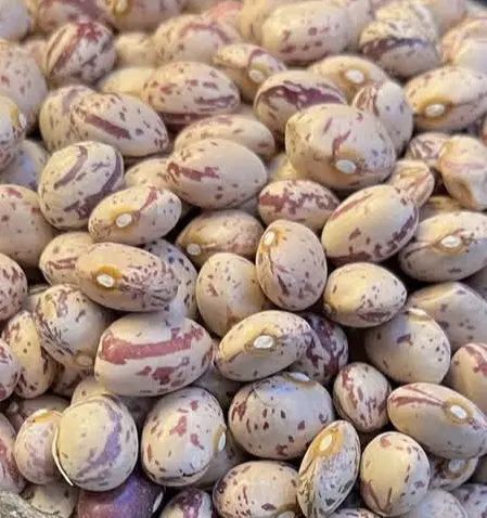 حبوبات محلی خشکبار گردو زرشک‌ کشمش انجیر|خوردنی و آشامیدنی|نیشابور, شهرک بهداری|دیوار