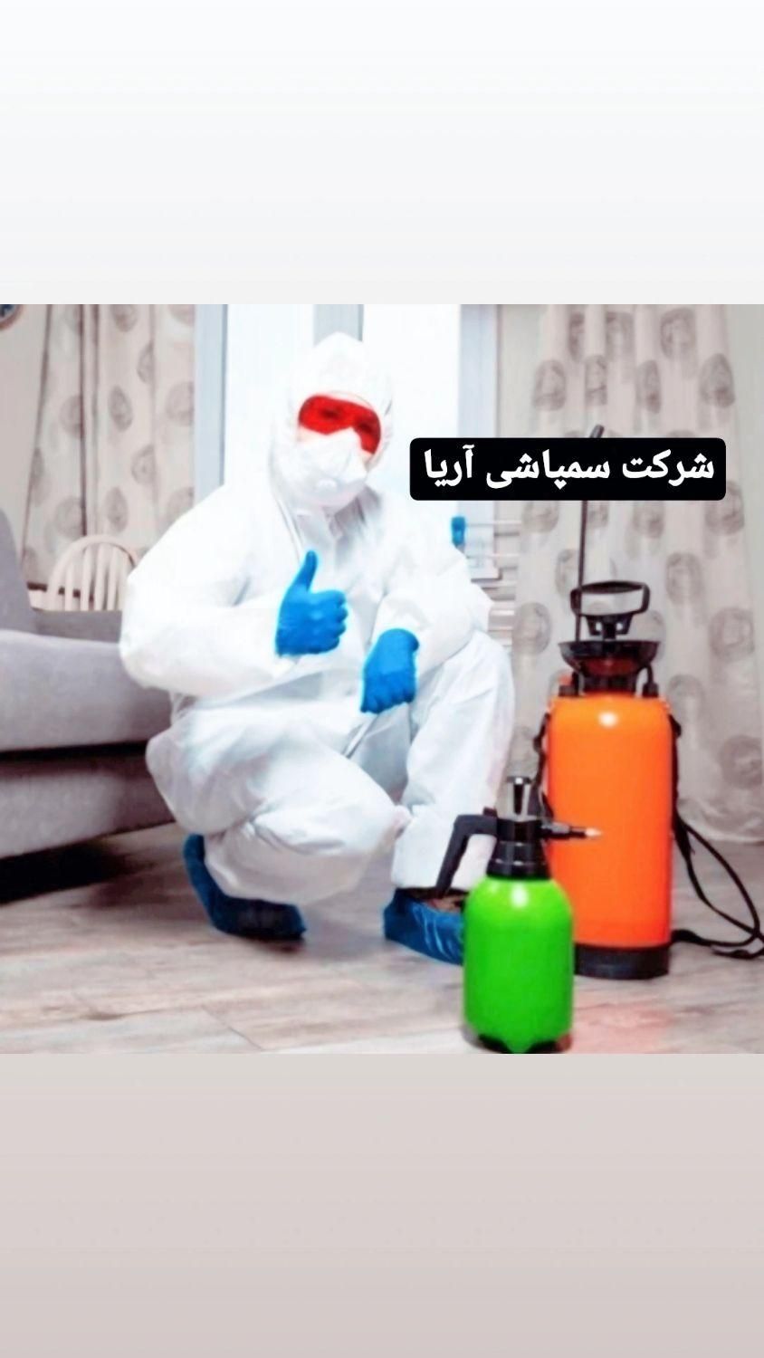 شرکت سمپاشی وموریانه زدایی *تخفیف ویژه* مجوز رسمی*|خدمات نظافت|دزفول, |دیوار